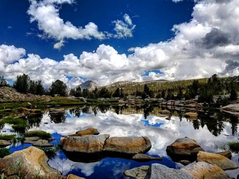 The Ultimate Guide To Being Eaten Alive By&nbsp;Mosquitoes